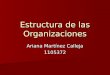Estructura de las Organizaciones Ariana Martínez Calleja 1105372