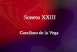 Soneto XXIII Garcilaso de la Vega. 2/13/2014Template copyright 2005  Contexto Histórico: Siglo de Oro de la literatura renacentista
