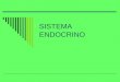 SISTEMA ENDOCRINO. El sistema endocrino El sistema endocrino es un sistema de coordinación. Recibe señales, procesa la información recibida y elabora