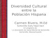 Diversidad Cultural entre la Población Hispana Carmen Rivera, M.Ed Somerville Early Head Start Un programa de La Asociación de Salud Mental de Somerville