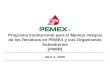 Programa Institucional para el Manejo Integral de los Residuos en PEMEX y sus Organismos Subsidiarios (PIMIR) Abril 2, 2009