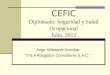 CEFIC Diplomado: Seguridad y Salud Ocupacional Julio, 2012 Jorge Villasante Araníbar V & A Abogados Consultores S.A.C