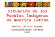 Situación de los Pueblos Indígenas de América Latina Benito Calixto Guzmán Subcoordinador General CAOI