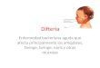 Difteria Enfermedad bacteriana aguda que afecta principalmente las amígdalas, faringe, laringe, nariz y otras mucosas