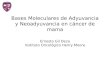 Bases Moleculares de Adyuvancia y Neoadyuvancia en cáncer de mama Ernesto Gil Deza Instituto Oncológico Henry Moore