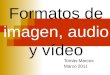 Formatos multimedia: imagen, audio y video