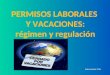 PERMISOS LABORALES Y VACACIONES: régimen y regulación RAÚL ALGUACIL TITOS