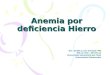 Anemia por deficiencia Hierro Dra. Gisella Luxen Schimpf. MD MN:117478 – MP:57112 Universidad Adventista del Plata Universidad Maimónides