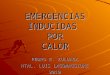 EMERGENCIAS INDUCIDAS POR CALOR PEDRO E. ZULUAGA HTAL. LUIS LAGOMAGGIORE 2010