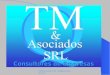 TM & Asociados SRL info@tmyasociados.com 1 Consultores de Empresas