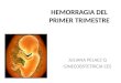 HEMORRAGIA DEL PRIMER TRIMESTRE JULIANA PELAEZ Q GINECOBSTETRICIA CES