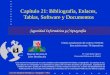 Material Docente de Libre Distribución Ultima actualización del archivo: 01/03/06 Este archivo tiene: 78 diapositivas Dr. Jorge Ramió Aguirre Universidad