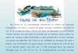 1581 islas-butinah-(menudospeques.net)