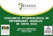 VIGILANCIA EPIDEMIOLOGICA DE ENFERMEDADES ANIMALES EN COSTA RICA UNIDAD DE EPIDEMIOLOGÍA Dra. Sabine Hutter & Dr. Alexis Sandi