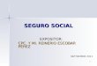 1 SEGURO SOCIAL EXPOSITOR: CPC. Y MI. REINERIO ESCOBAR PEREZ SEPTIEMBRE 2011