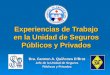 Experiencias de Trabajo en la Unidad de Seguros Públicos y Privados Dra. Carmen A. Quiñones DBrot Jefe de la Unidad de Seguros Públicos y Privados