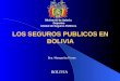 LOS SEGUROS PUBLICOS EN BOLIVIA BOLIVIA Ministerio de Salud y Deportes Unidad de Seguros Públicos Dra. Margarita Flores