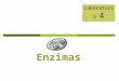 Enzimas Laboratorio 4. Objetivos Definir qué es una enzima y cómo estas actúan en reacciones dentro de la célula. Identificar diferentes factores que