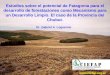 Estudios sobre el potencial de Patagonia para el desarrollo de forestaciones como Mecanismo para un Desarrollo Limpio. El caso de la Provincia del Chubut