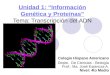 Unidad 1: Información Genética y Proteínas Tema: Transcripción del ADN Colegio Hispano Americano Depto. De Ciencias - Biología Prof.: Ma. José Espinoza