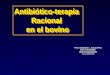 Antibiótico-terapia Racional en el bovino Prof. Alejandro L. Soraci Ph.D Area Toxicología Dpto Fisiopatología FCV-UNCPBA