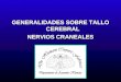 GENERALIDADES SOBRE TALLO CEREBRAL NERVIOS CRANEALES
