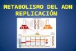 METABOLISMO DEL ADN REPLICACI“N. Tres Modelos de Replicaci³n