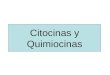 Citocinas y Quimiocinas. Definición Productos secretados por las células de la inmunidad } mediadores inmunes solubles Se producen en respuesta a microorganismos