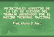 PRINCIPALES ASPECTOS DE LA LEY DE RIESGOS DEL TRABAJO ABORDADOS POR EL MÁXIMO TRIBUNAL NACIONAL Prof. Mario S. Fera