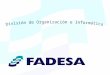 División de Organización e Informática Principios - Los sistemas de FADESA son el resultado de la proyección de la singularidad de su modelo de negocio