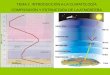 TEMA 2. INTRODUCCIÓN A LA CLIMATOLOGÍA COMPOSICIÓN Y ESTRUCTURA DE LA ATMÓSFERA
