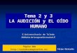 Tema 2 y 3 LA AUDICIÓN y EL OÍDO HUMANO E.Universitaria de Toledo Didáctica de la expresión musical II Felipe Gértrudix Página Web 