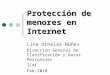 Protección de menores en Internet Lina Ornelas Núñez Dirección General de Clasificación y Datos Personales IFAI Feb-2010