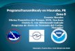 Ernesto Morales Oficina Pronóstico del Tiempo, SNM, San Juan Christa G. von Hillebrandt-Andrade Programa de Alerta de Tsunamis del Caribe, Mayagüez Maunabo,