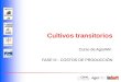 Curso de AgroWin FASE III - COSTOS DE PRODUCCIÓN Cultivos transitorios