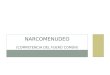 NARCOMENUDEO (COMPETENCIA DEL FUERO COMÚN). PROGRAMA DE TRABAJO: Competencia Hipótesis típicas Comercio Suministro Posesión simple Posesión con finalidad