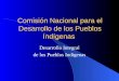 Comisión Nacional para el Desarrollo de los Pueblos Indígenas Desarrollo Integral de los Pueblos Indígenas