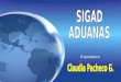Expositora :. SIGAD - ADUANAS El SIGAD nos brinda información a través del Portal SUNAT Regímenes Definitivos Regímenes Temporales Regímenes Suspensivos