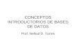 CONCEPTOS INTRODUCTORIOS DE BASES DE DATOS Prof. Nelliud D. Torres