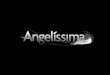 US angelissima-plan-2011