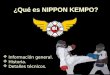 ¿Qué es NIPPON KEMPO? Información general. Historia. Detalles técnicos