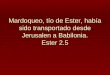 Mardoqueo, tío de Ester, había sido transportado desde Jerusalen a Babilonia. Ester 2.5