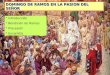 DOMINGO DE RAMOS EN LA PASION DEL SEÑOR * Introducción * Bendición de Ramos * Procesión * Eucaristía