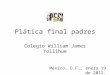Plática final padres Colegio William James Yollihue México, D.F., enero 19 de 2012