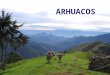 ARHUACOS ALGUNAS FUENTES: Arhuaco, //es.wikipedia.org/wiki/Arhuaco Portal Cultural de la Región Andina,
