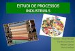 Estudi de processos industrials