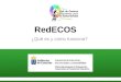 RedECOS ¿Qué es y cómo funciona?. ¿Qué es la RedECOS? Una iniciativa para desarrollar la Educación Ambiental en el aula. Un espacio común de trabajo entre
