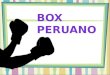 INDICEINDICE Figuras del Box Figuras del Box Figuras del Box Figuras del Box Reconocimientos Reseña Histórica Reseña Histórica Reseña Histórica Reseña