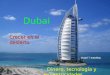 Dinero, tecnología y excentricidades Dubai Crecer en el desierto Hotel 7 estrellas