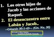 CONF. 1. LOS OTROS HIJOS DE JACOB Y LAS ACCIONES DE RAQUEL. 2. EL DESENCUENTRO ENTRE LABAN Y JACOB. GENESIS 30:1-43. (GN. No. 30)